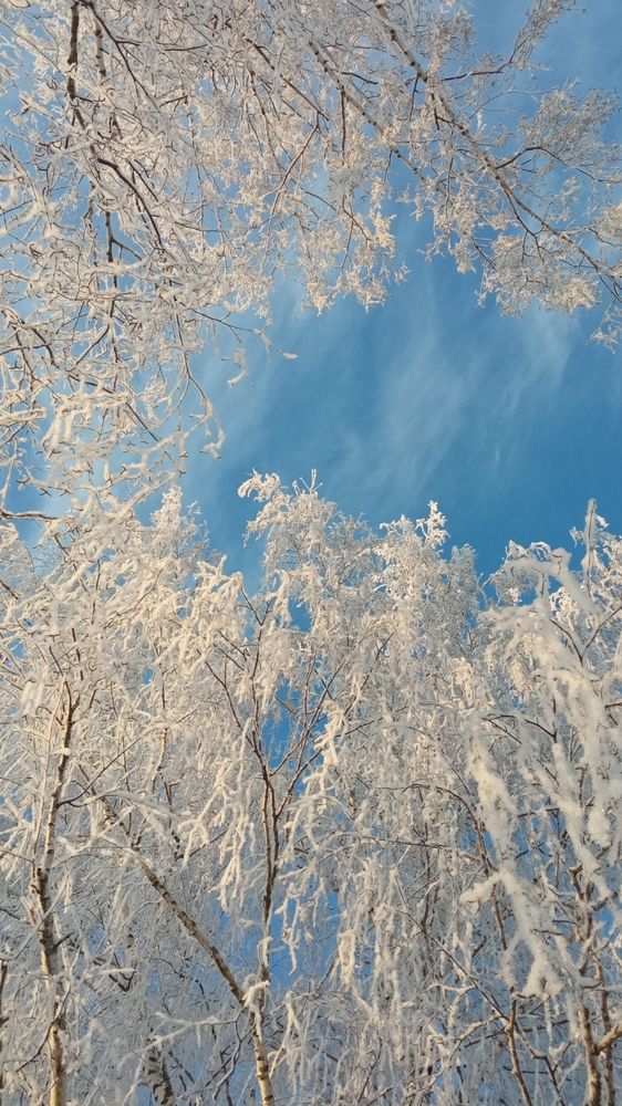 Photograph by Юлия Ромашина