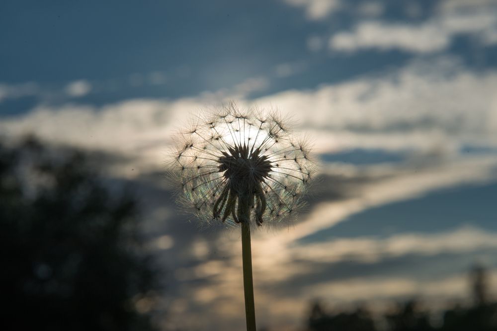 Photograph by Dimitri Bakhtadze