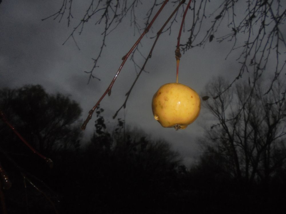 Photograph by Лилия Исхакова