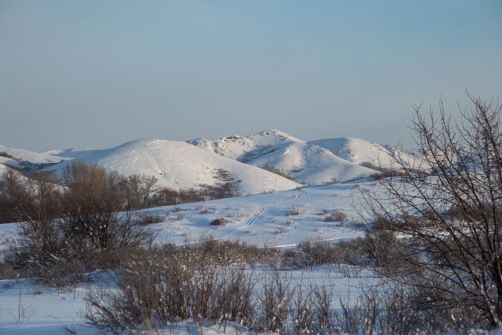 Photograph by Ирина Яук