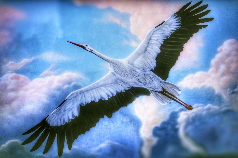 Фотография автора Никита Русецкий