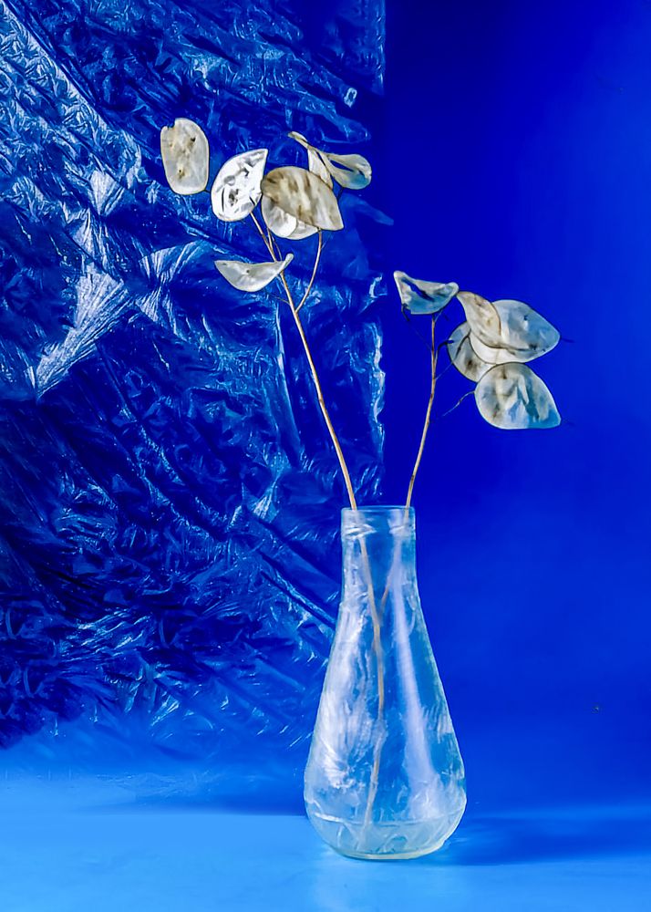 Photograph by Margarita