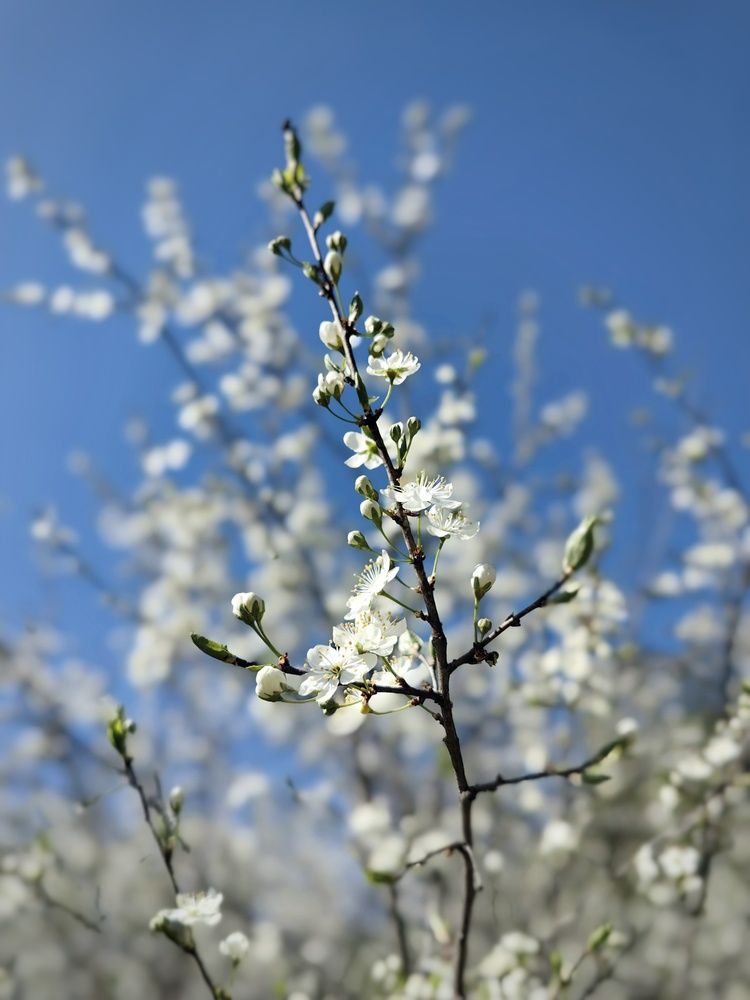 Photograph by Ярославна