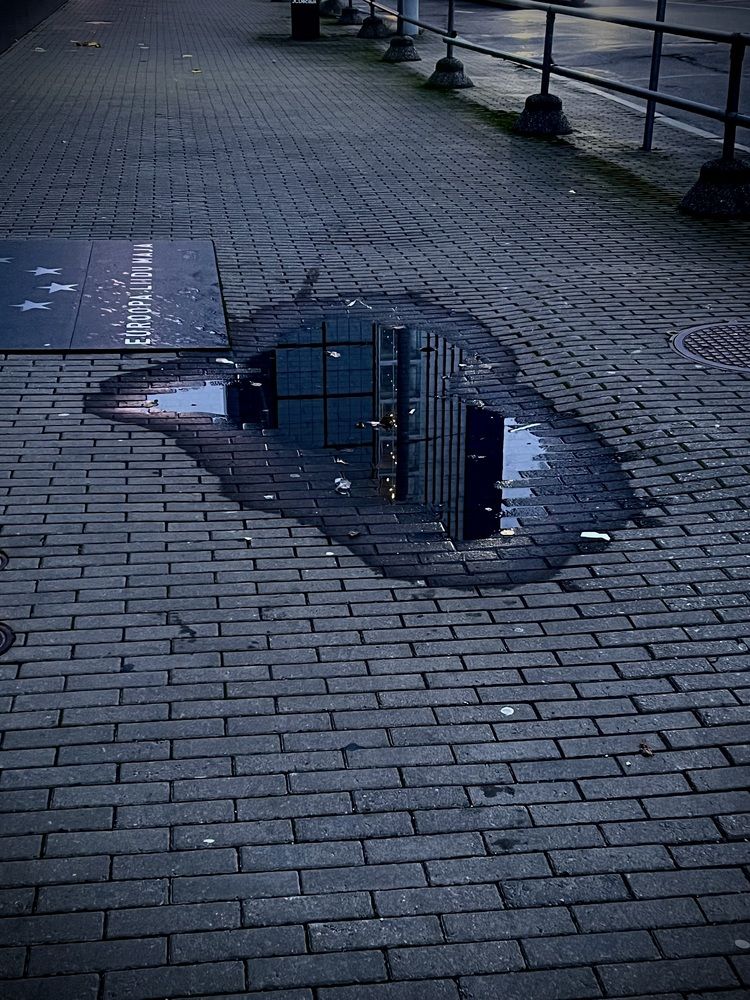 Фотография автора Veronika Lemke