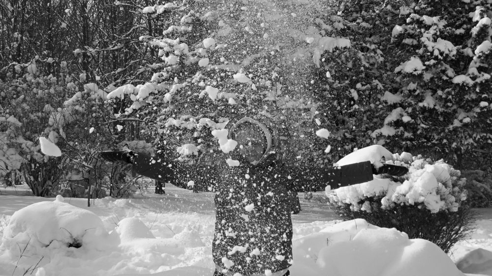 Photograph by Фартушняк Сергей