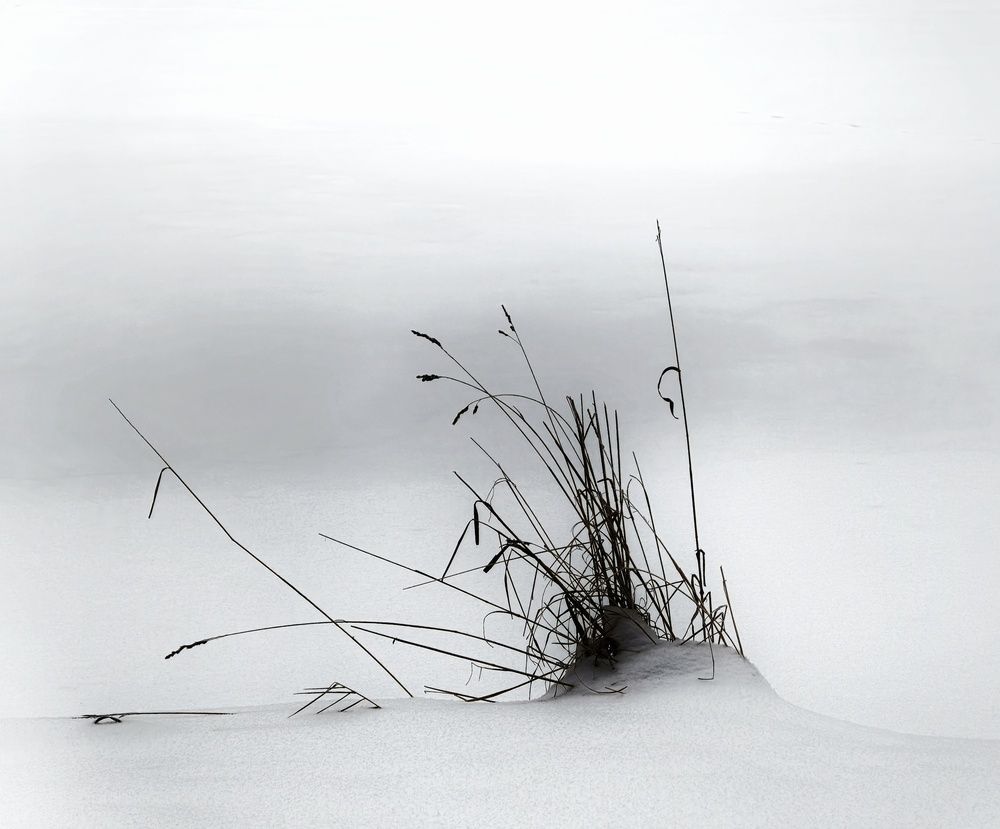 Photograph by Юрий Полушин