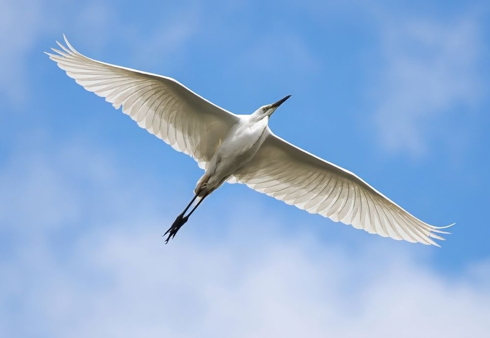 Photograph by Gurdina Lena