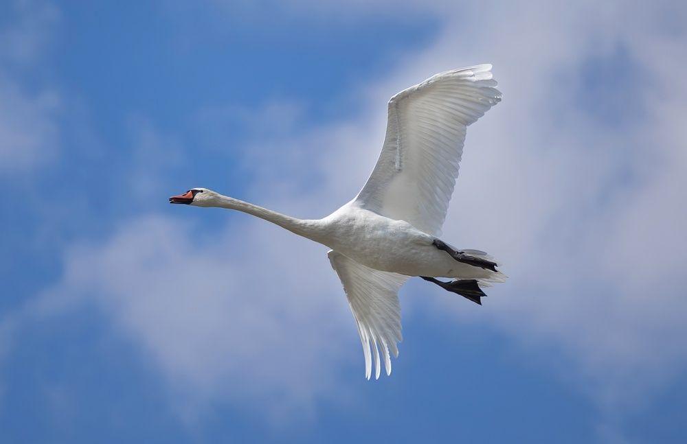 Photograph by Gurdina Lena