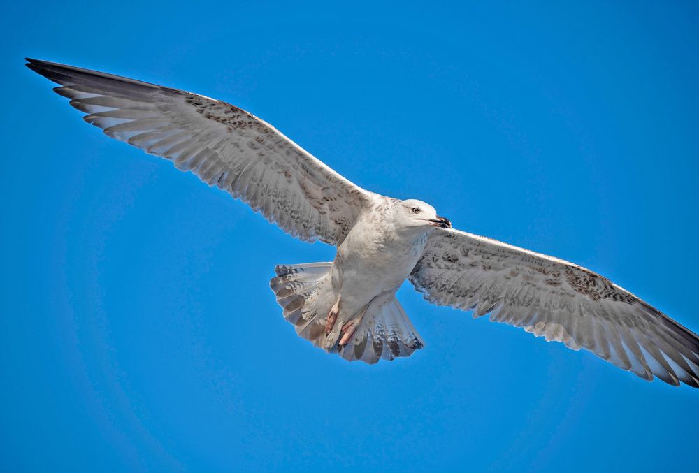 Photograph by Gurdina Lena