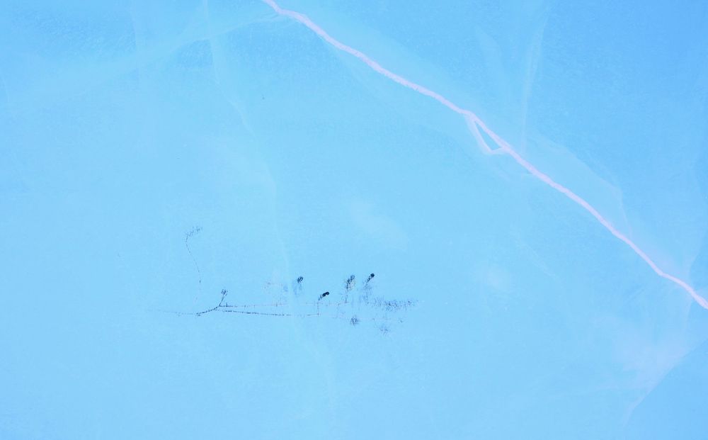 Фотография автора Павел Мартюшев