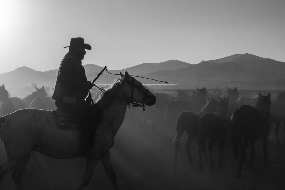 Photograph by Özgür Caymaz
