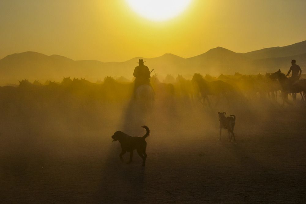 Photograph by Özgür Caymaz