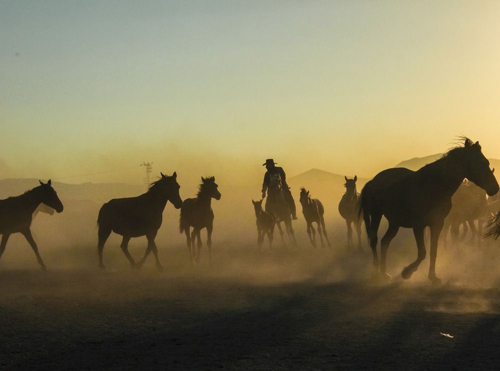 Photograph by Özgür Caymaz