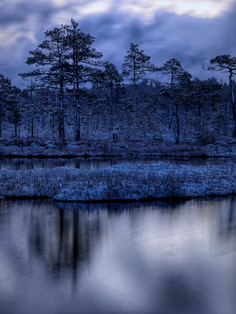 Photograph by Анна Семенова