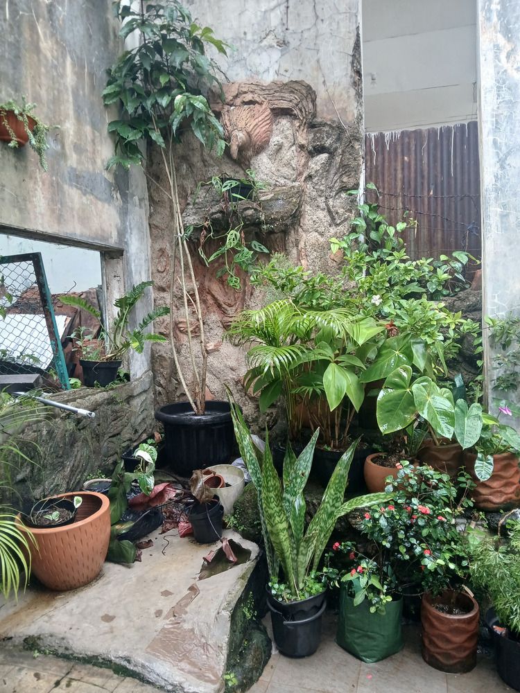 Photograph by sandyani SE