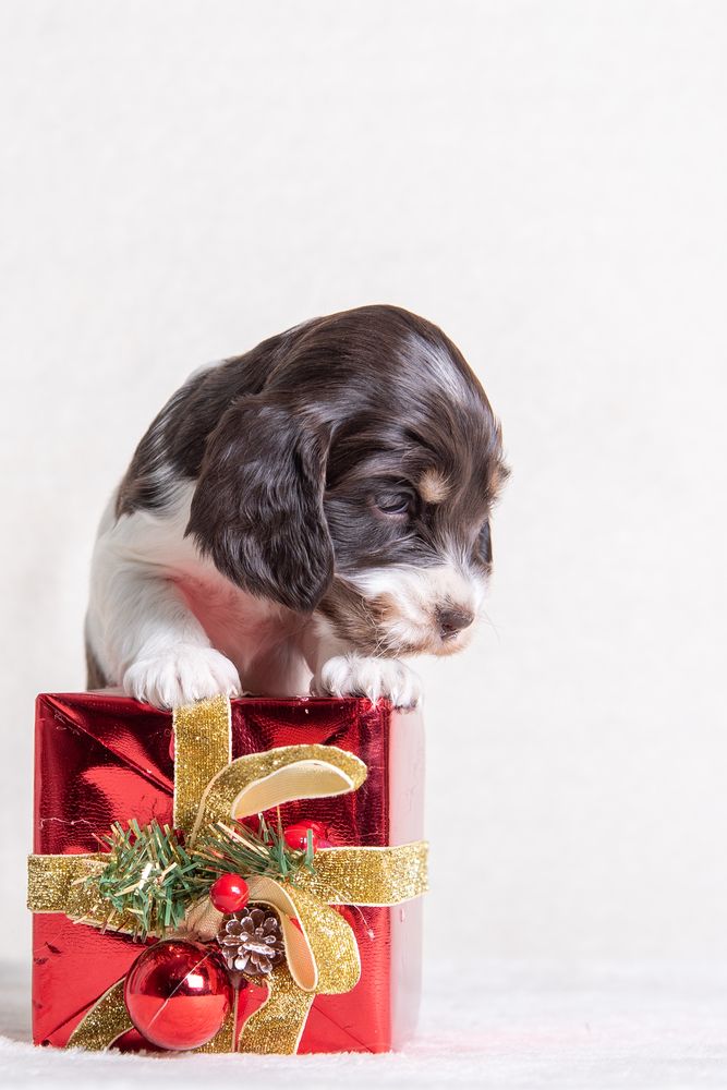 Photograph by наталья залогина