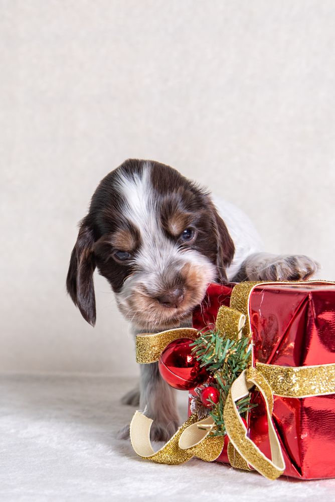 Photograph by наталья залогина