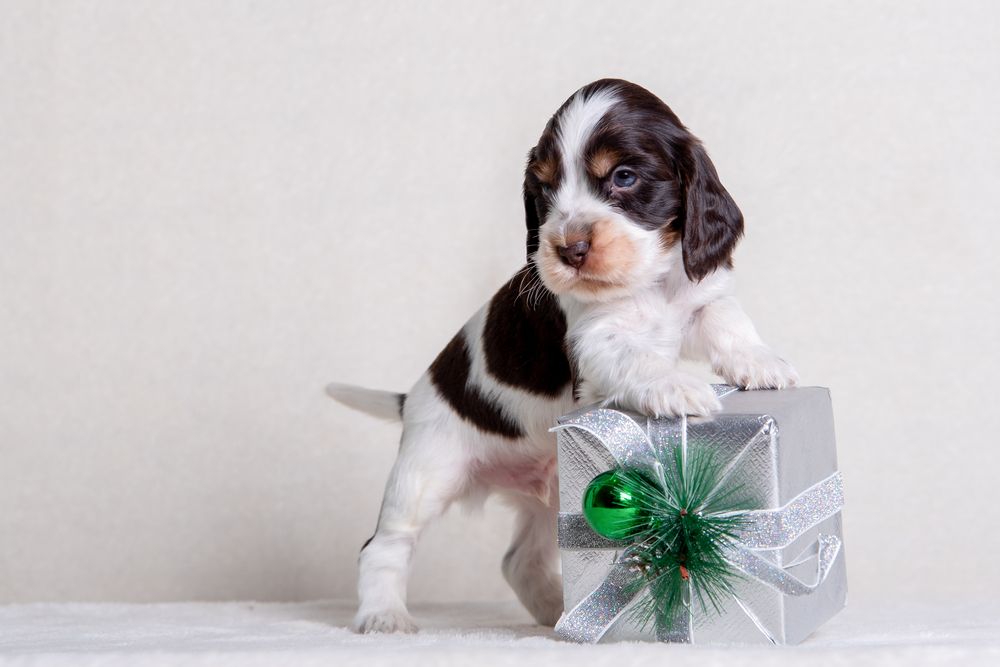 Photograph by наталья залогина