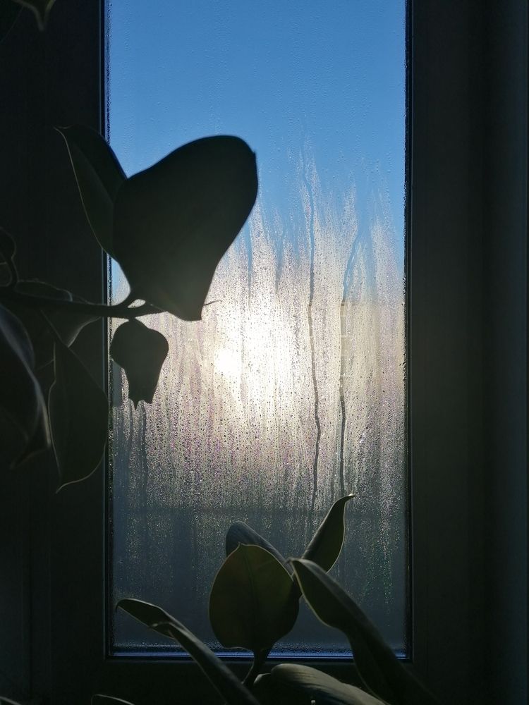 Фотография автора Галина Пылаева