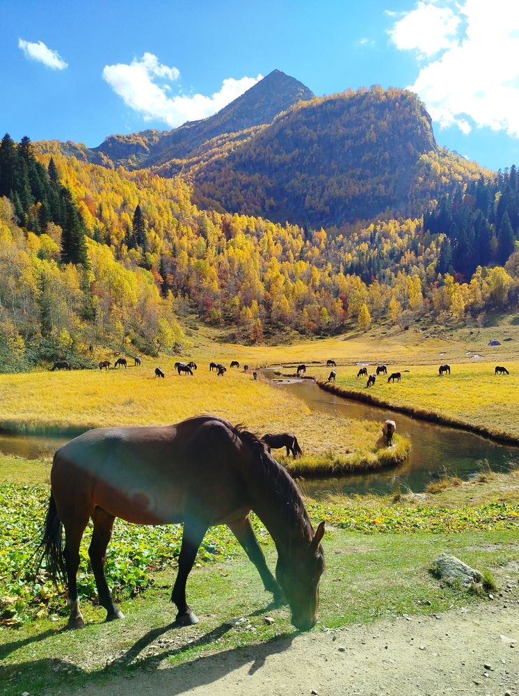 Photograph by Юлия Волгина