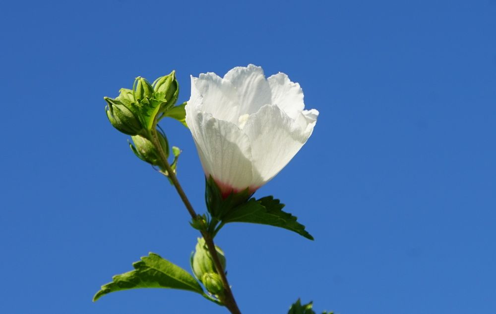 Photograph by сергей мишаков