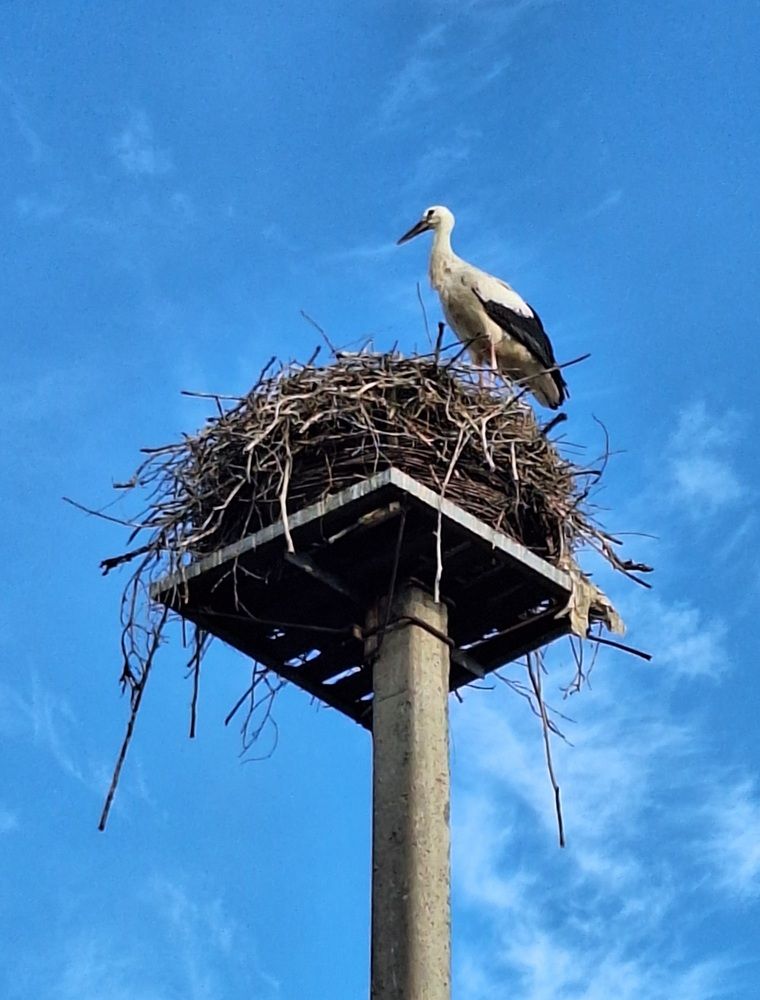 Photograph by Ольга Мольдон