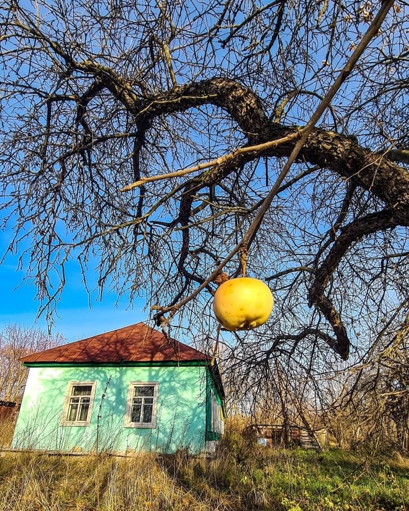 Photograph by Наталья Николаевна