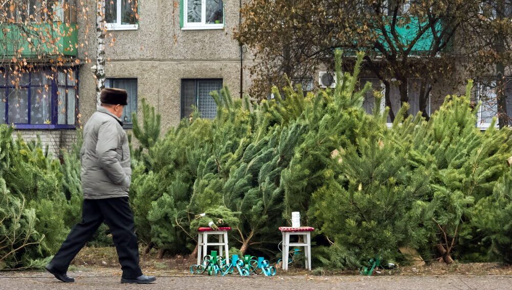 Где ты, Дед Мороз?