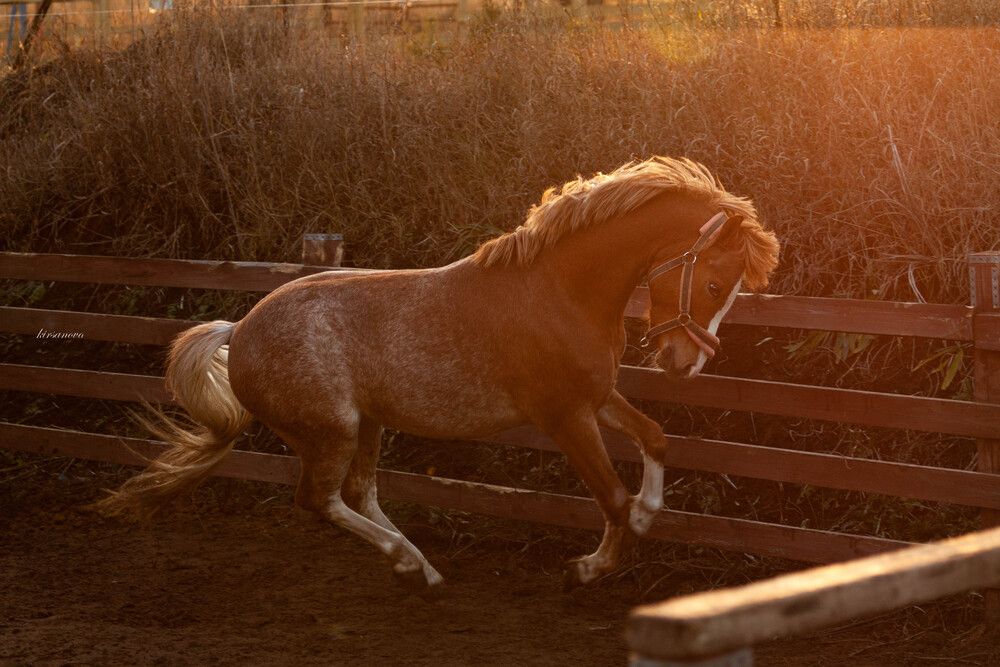 Photograph by Lubov Kirsanova