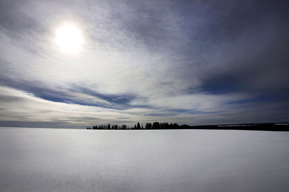 Фотография автора Павел Мартюшев