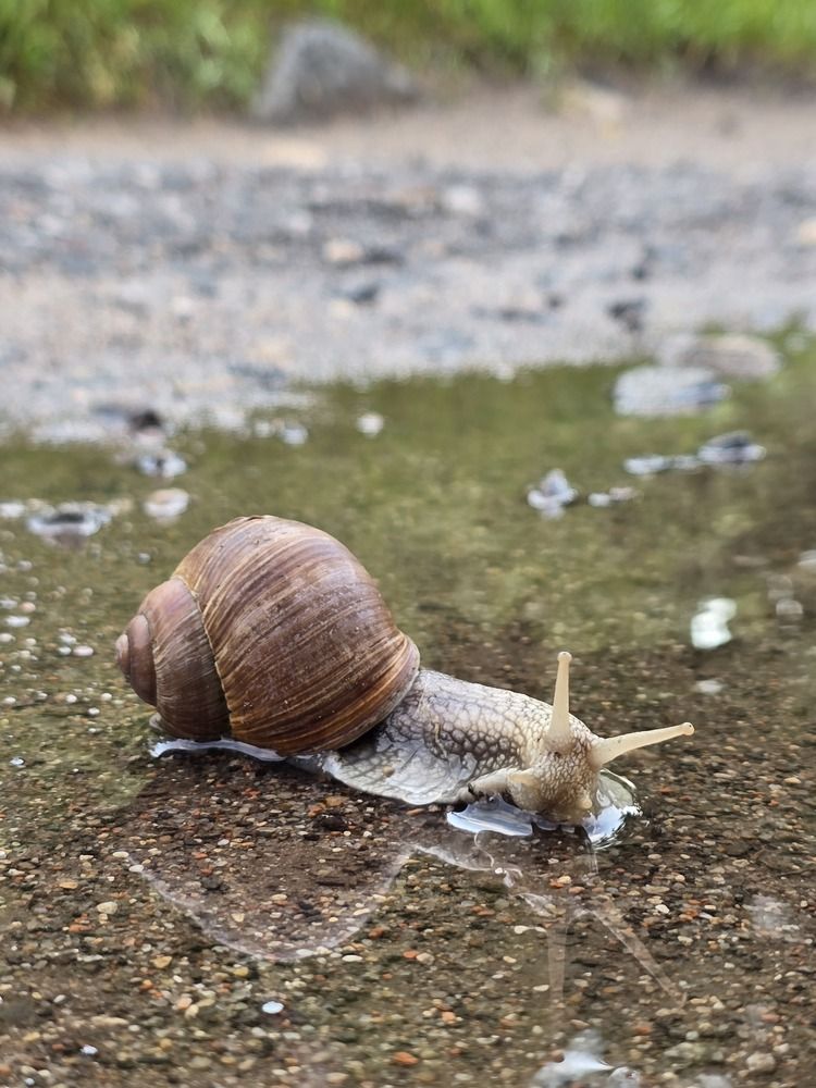 Photograph by Елена Гордеева