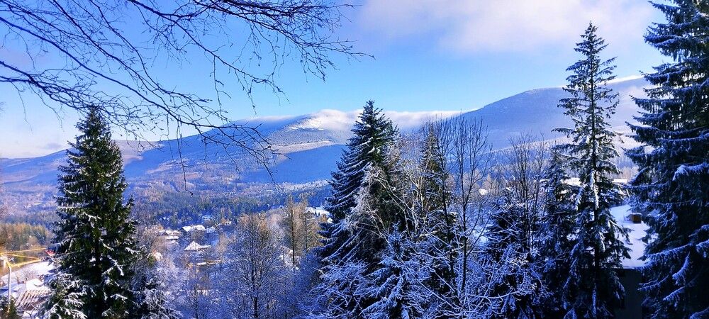 Photograph by Maciej Morgiel