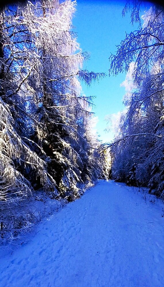 Photograph by Maciej Morgiel