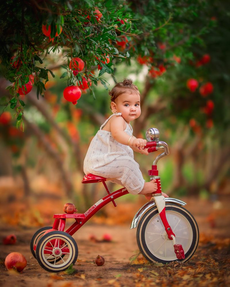 Photograph by Maayan Rosenberg