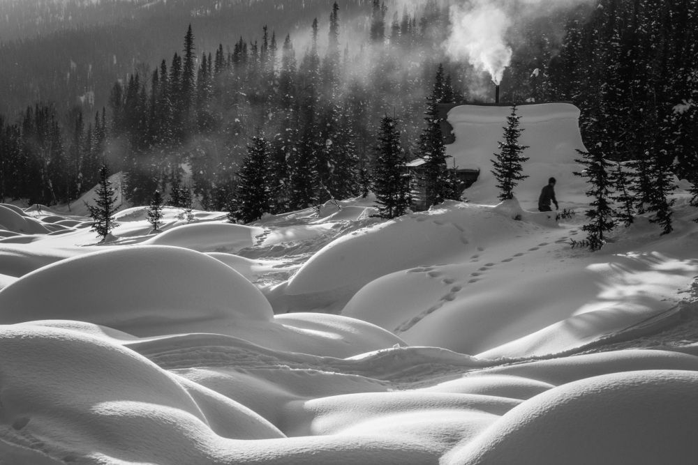 Зимний приют