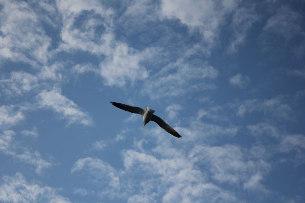 Photograph by Тамила Тищенко