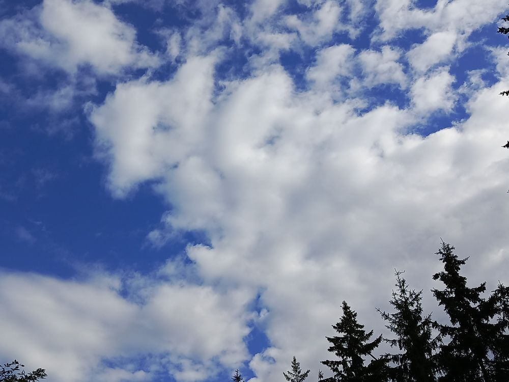 Photograph by НИНА АВЕРЬЯНОВА