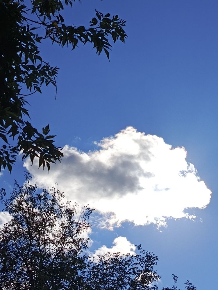 Photograph by НИНА АВЕРЬЯНОВА