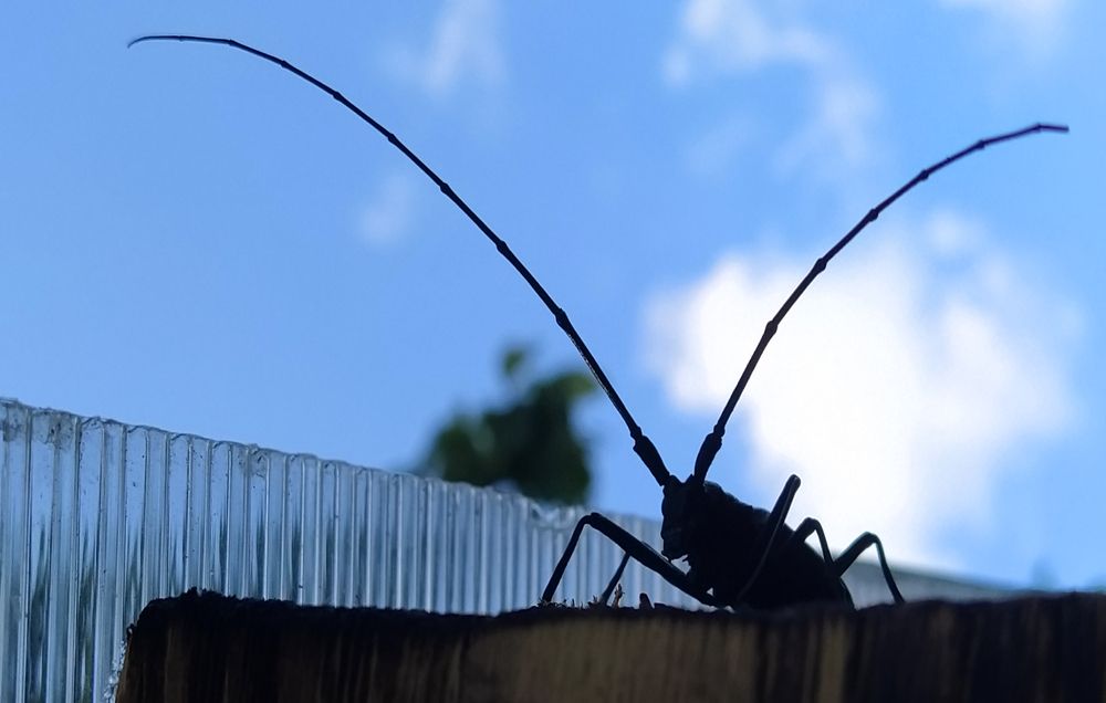 Фотография автора Павел Мартюшев