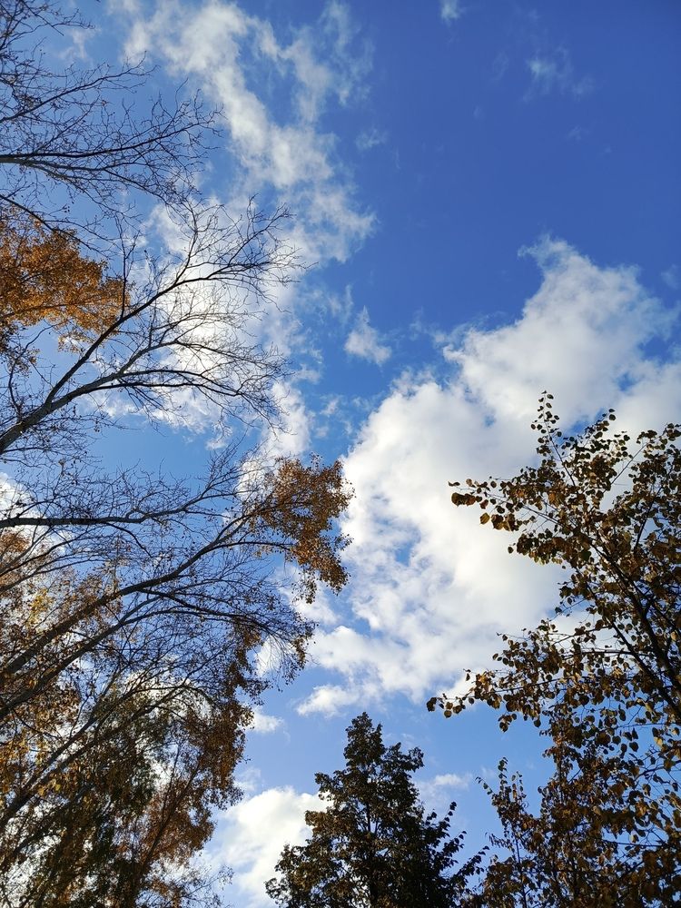 Photograph by НИНА АВЕРЬЯНОВА