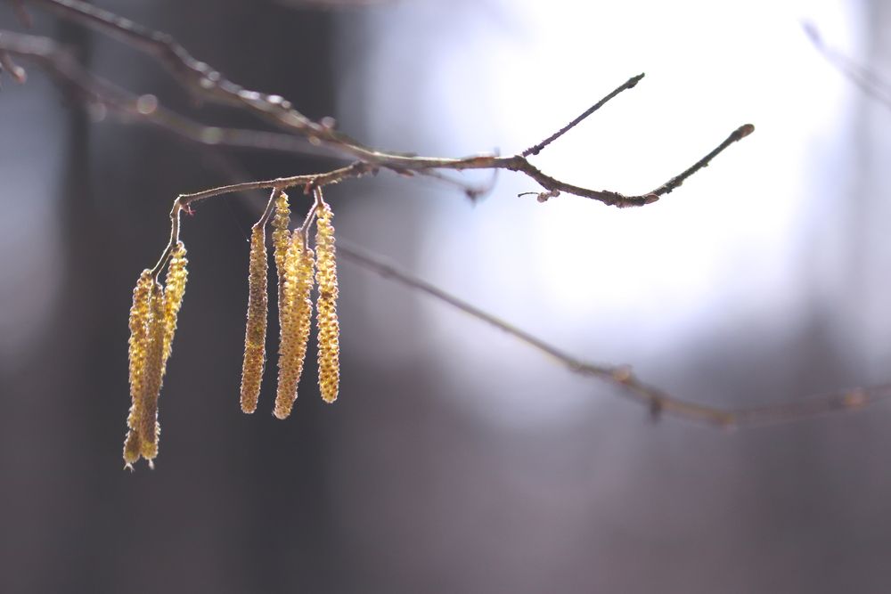 Photograph by Татьяна Пашинцева