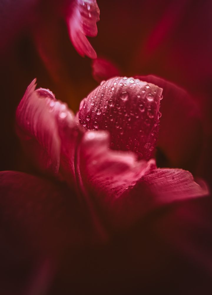 Photograph by Наталья Горбачук