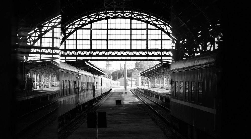 Photograph by Владимир Ефимов