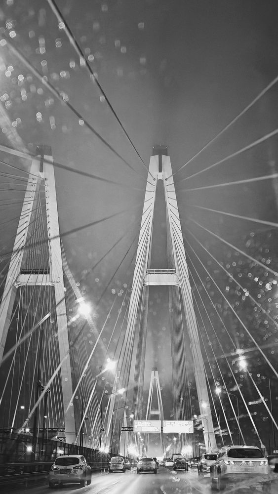 Фотография автора Юлия Стеценко