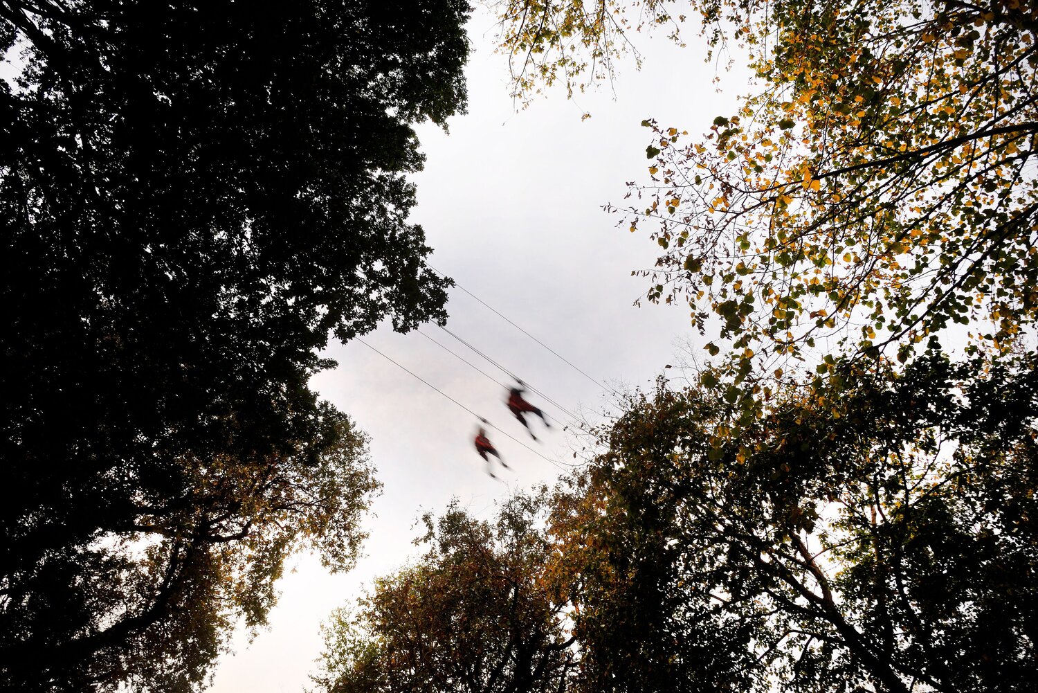 Photo #12975293