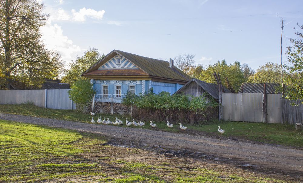 Photograph by Оксана Леонтьева