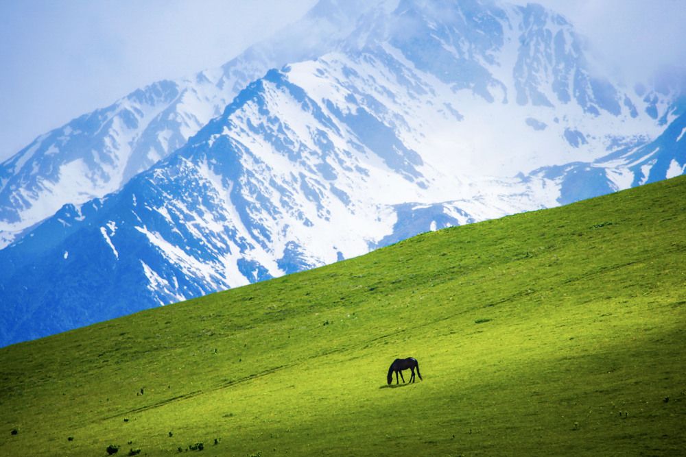 Photograph by Александр Ермаченко