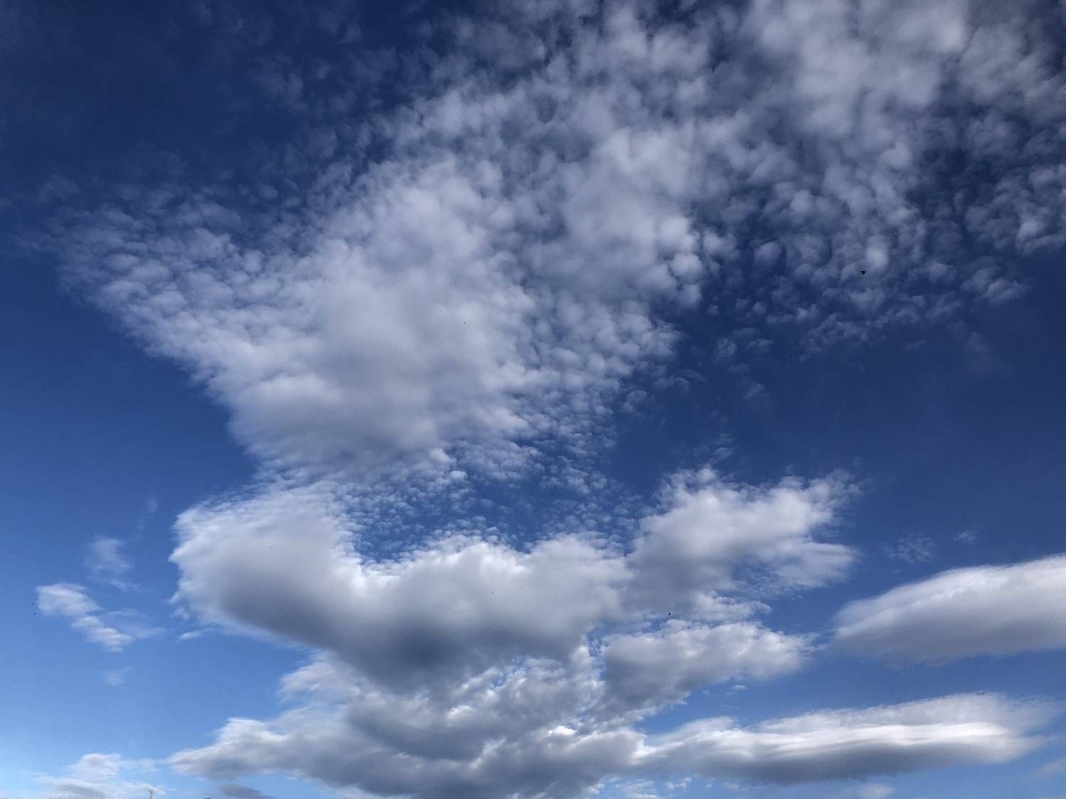 Photo #12975370