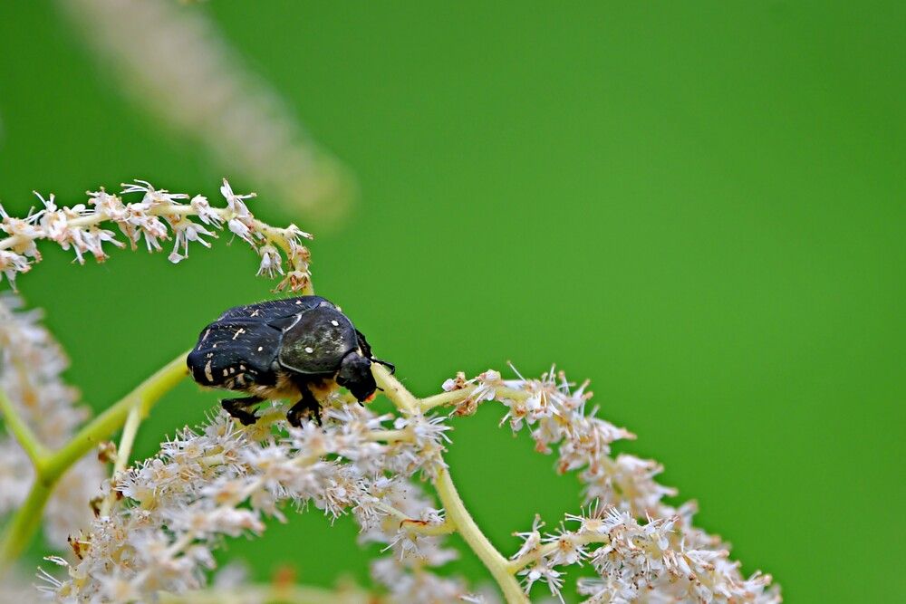 Photograph by Игорь Седунов