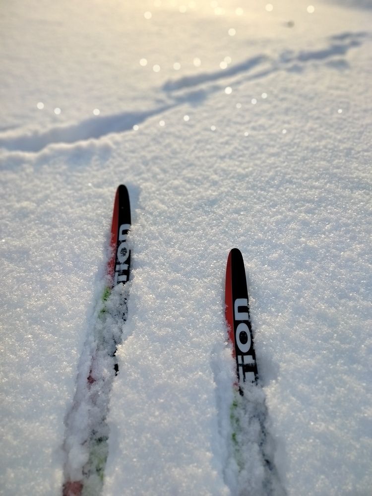 Photograph by Зульфия Набиуллина